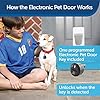 Electronic Pet Door for Small Dogs