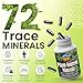 Outback Naturals Fulvic Humic Mineral Blend of Plant-Sourced Trace Minerals, Electrolytes, Gut Health, Cognitive & Immune Support, Pure Vitality Formula for Strength - 120 Capsules