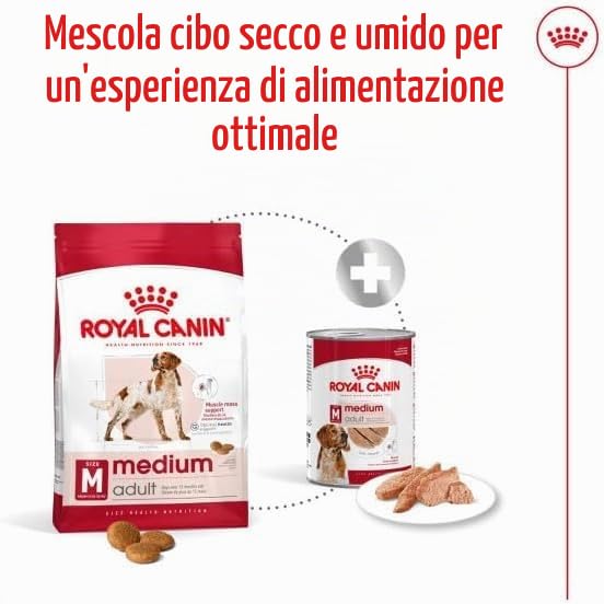 royal canin medium adult kg 12