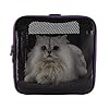 Soft Pet Carrier for Small Dogs