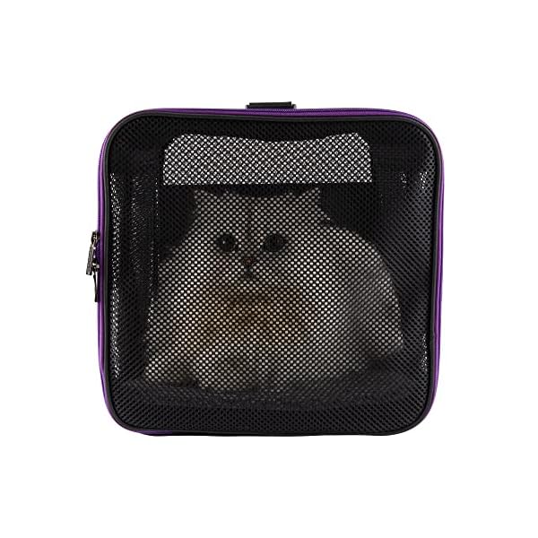 Soft Pet Carrier for Small Dogs
