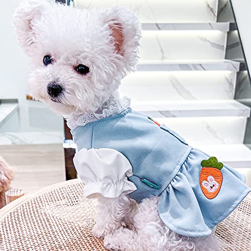 Tengzhi Small Dog Dress Cute Carrot Pocket Blue Lace Princess Puppy Dress Skirt Fall Winter Thick Holiday Pet Clothes Dresses For Small Dogs Girl Cat Outfit (M,Blue #TOP1