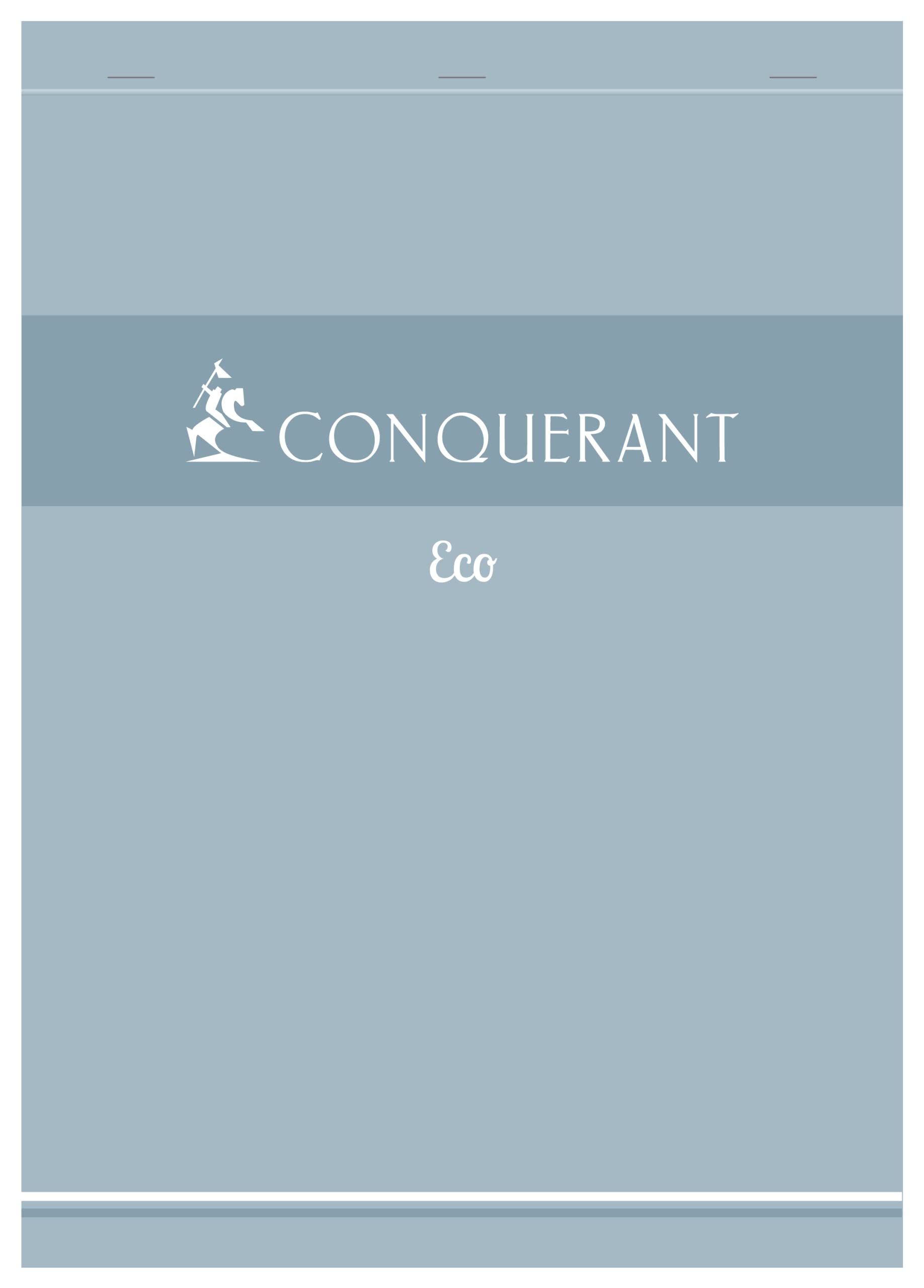 Conquérant Lot de 20 Bloc-Notes Eco A4 Petits Carreaux 5mm 200 Pages Agrafées Tête Couverture Carte Bleue