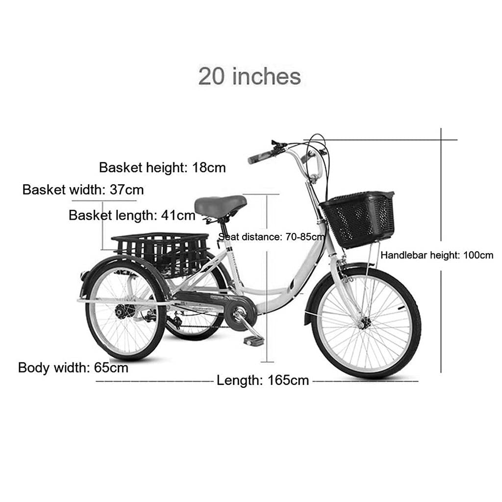 Bicicletta Tre Ruote Esterno 20 Pollici Adulti Triciclo con Doppio Freno Triciclo Adulti Telaio in Acciaio ad Alto tenore di Carbonio con Cestino Spesa Biciclette Crociera pedalare in Bicicletta