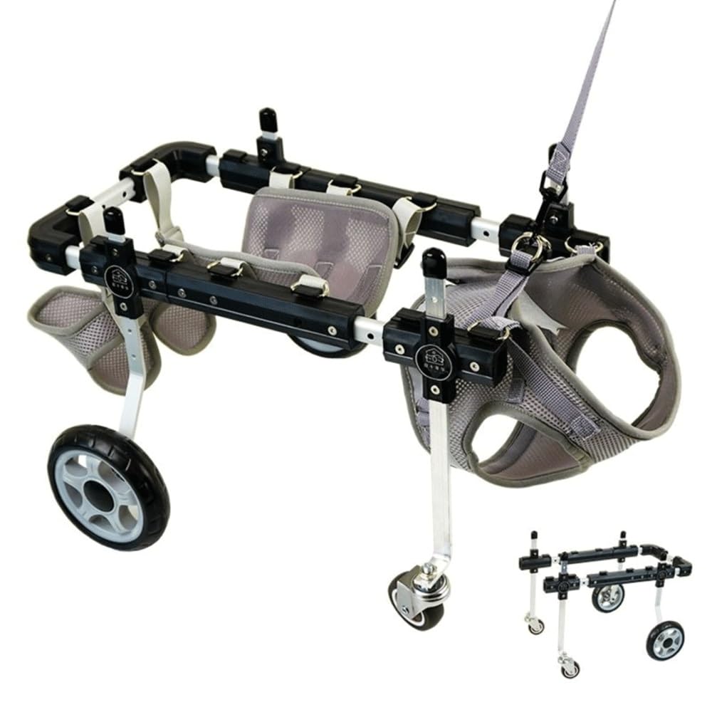 Silla de ruedas para gatos y perros pequeños: devuélvale la alegría de caminar