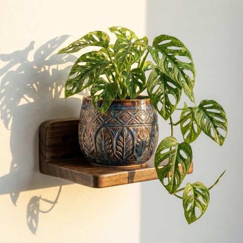 Image of Premium Wooden Floating Wall Shelf (Single Piece) - Natural Solid Wood Display Rack | 18x15x7 cm - Wall Mounted Shelf for Home & Office Decor | Small Plant & Showpiece Stand