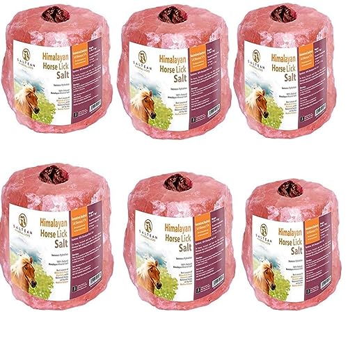 6 ×Himalayan Animal Horse Lick Natural Pink Salt, 2 count (Pack of 6)