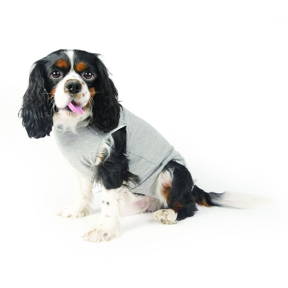 Fashion Dog Cura Pets - Body anticipado para perros y gatos, 75 cm