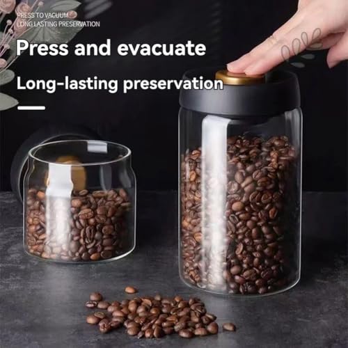 Fsakwy XeXX`[eB[W[ h ƒpeB[Xg[WW[ ͐^ R[q[W[ B