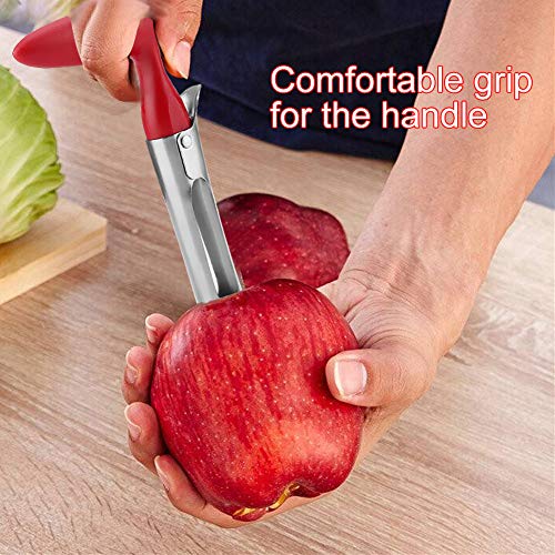 Pineapple Corer, Stainless Steel Cutter and Slicer Tool Pear Corer Tool Stainless Steel Corer Fruit Seed RemoverSharp Fruit Corer - Image 3