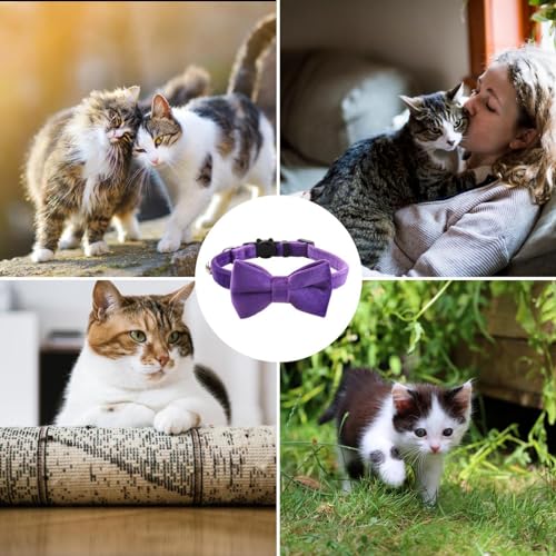 Schmetterling für Katzenhalsband – gleitende für Katzenhalsband, Fliege für Katzen für Hunde | vielseitiges Halsbandzubehör für kleine Haustiere