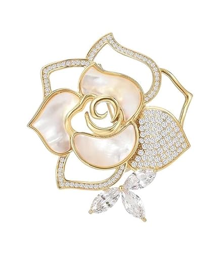 ^VRLkJAԃu[`WRKNԃRT[WwƎ\IȂǗp aLONX}XzCgf[̓ւ̑蕨MtgP[Xt (LkWR)