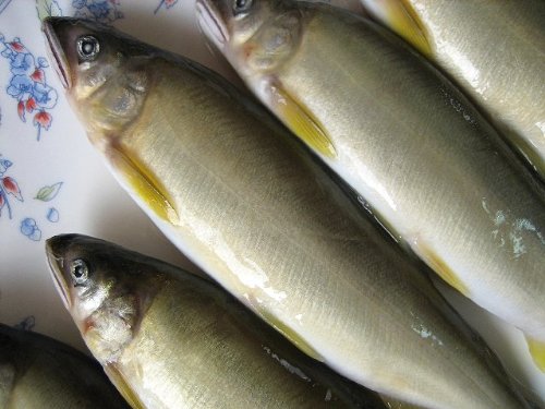 美味です!!「清流の鮎1kg」-特大サイズ10－１３匹入り 2枚目