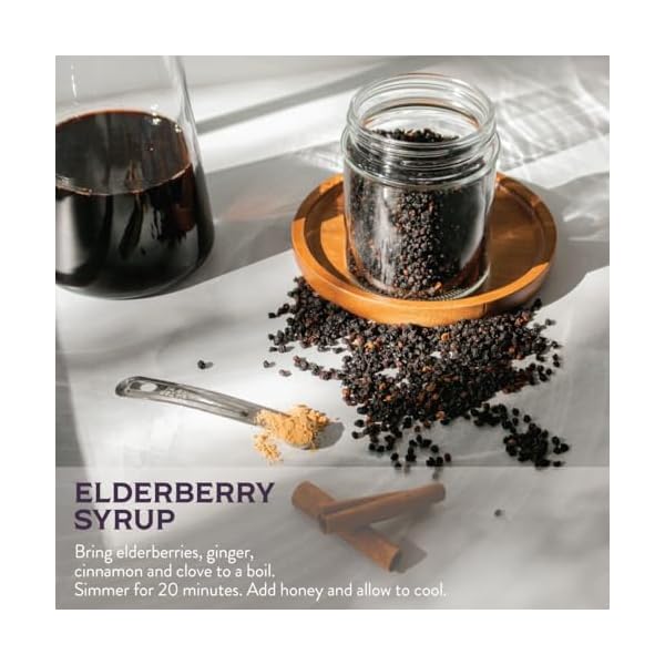 Waterglider-International-Organic-Elderberries-1-lb Waterglider-International-Organic-Elderberries-1-lb