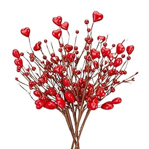 6 PCS Red White Heart and Berry Picks, Artificial Berry Flowers for Wedding Floral Arrangement Wreath Table Centerpiece 6 PCS Red White Heart and Berry Picks Artificial Berry Flowers for Wedding Floral Arrangement Wreath Table Centerpiece