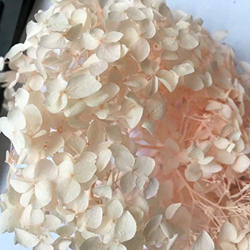 WOOAI 3 g/lote de flores naturales frescas conservadas hortensias secas para bricolaje, flores de vida eterna, material 11