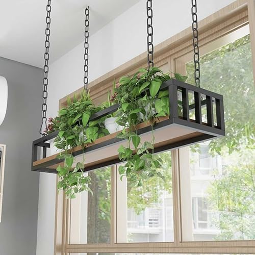 V݂艺AIAAؔX^hAt[eBOfBXvCIAAX^hAI[KiCU[bNAoRj[o[t[Vbvpv^[z_[(120x25x15cm)