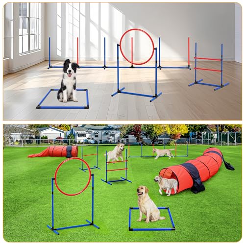 image for DWVO Dog Agility Accessories Kit: Comprises of a Teaser Pole, 3 Hurdle