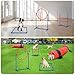 DWVO Dog Agility Accessories Kit: Comprises of a Teaser Pole, 3 Hurdles, 3 Flying Discs, 6 Weaving Poles, 2 Agility Tunnels, Pause Box, Full Set of Agility Equipment for Backyard Indoors Outdoors