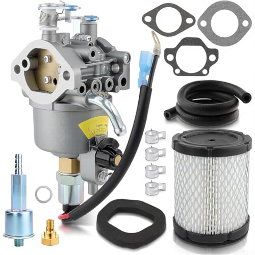 Carburateur Onan 4000W A042P619 pour groupe électrogène série 146-0785