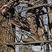 Summit Treestands 81120 Viper SD Climbing Treestand, Mossy Oak