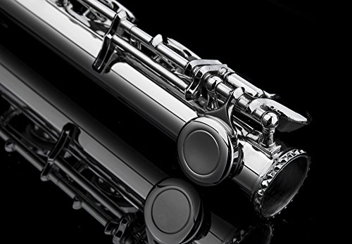 Engraved Glory Closed Hole C Flute For Band, Orchestra, With Case, Tuning Rod And Cloth,Joint Grease And Gloves, Engraved Silver Nickel Color Flute #TOP3