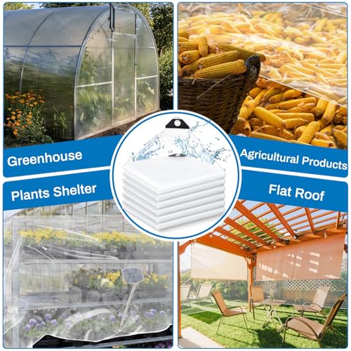 Image of 6 Pcs 6x8 ft Clear Tarp with Grommets Heavy Duty Transparent Tarp Waterproof 8mil Green House Cover with Rope for Plant Garden Patio Chicken Coop Porch (Classic Style)