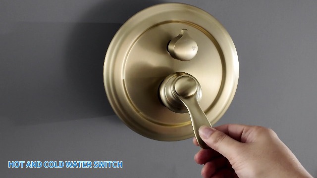 Cabezal de ducha con mano y manguera 2 en 1 6 modos oro cepillado miniatura 7