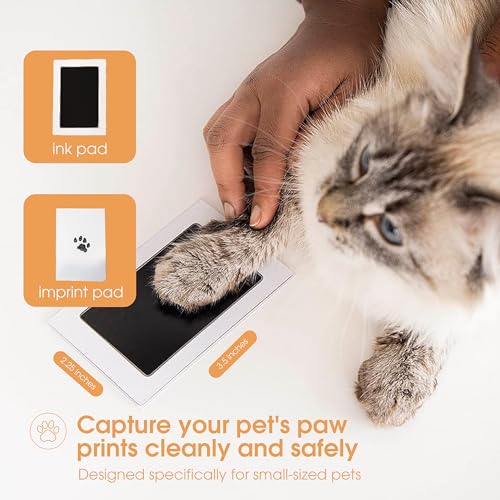 Pearhead Almofada De Tinta E Cartões Small Pet Paw Print Clean-Touch Preto/Branco