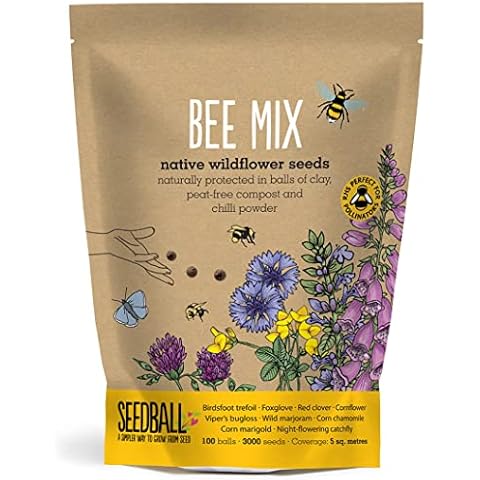 SEEDBALL Bee Mix Seed Bombs (Grab Bag) - 100 Seed Balls Per Pack | Bee Friendly British Wildflower Seeds - Clay Seed Bomb Mix of Poppy, Chamomile, Cornflower, Corn Marigold & Night-Flowering Catchfly Cover