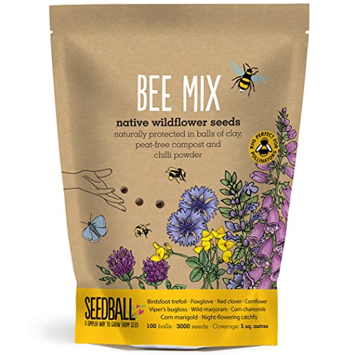 SEEDBALL Bee Mix Seed Bombs - 100 Seed Balls Per Pack | Eco Friendly British Wild Flower Seed Mix for Bees & Garden Wildlife - Poppy Chamomile Cornflower Corn Marigold & Night-Flowering Catchfly