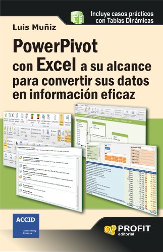 Powerpivot con excel a su alcance para convertir sus datos en información eficaz (Spanish Edition)