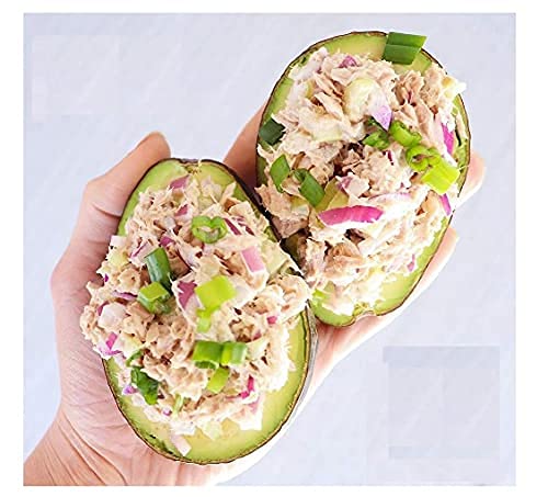 Pescamar-10x Thunfisch dosen (in Sonnenblumenöl) nach mediterraner spanischer Art-Tuna