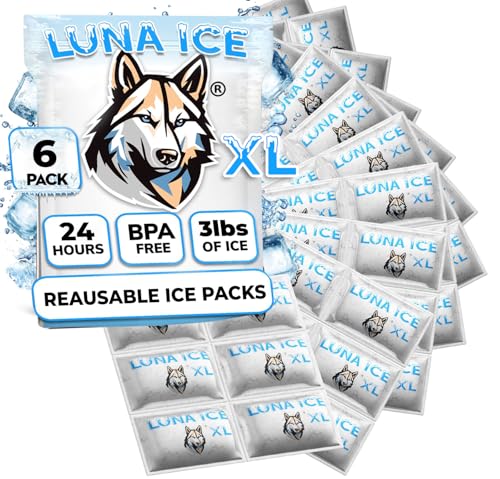 Dry Ice Packs for Shipping XL - Long Lasting ice Packs - 24+ Hour Freeze Power - BPA Free - 6 Pack Bulk 3 lb – Hielo Seco - Reusable Gel Bricks for Food