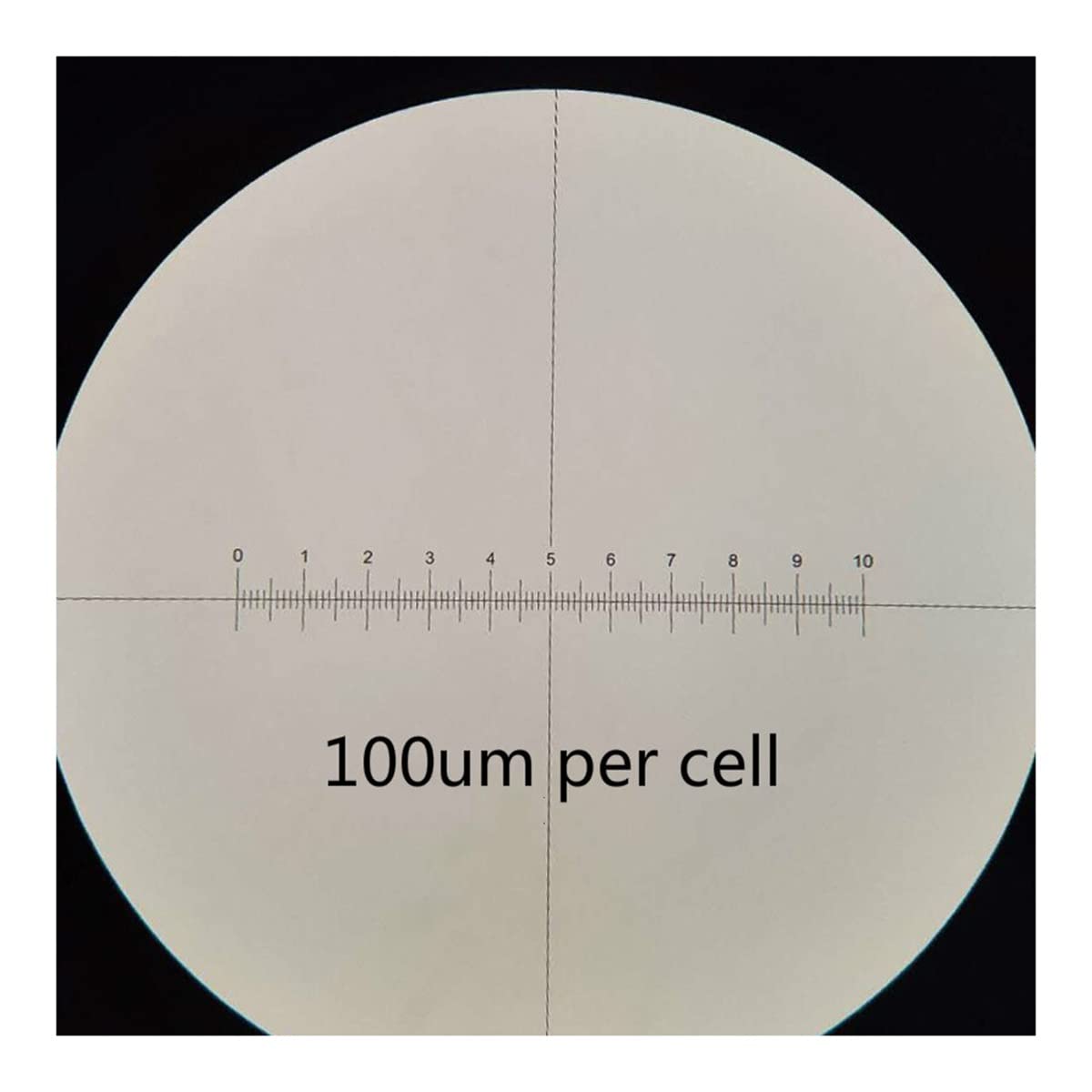 Observación con microscopio Accesorios de microscopio Wf10x Campo de vista ajustable del ocular de gran angular(10X20plus micrometer)