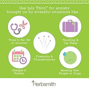 Herbsmith July Third  Canine Calming Chews  Calming Herbs for Dogs  Anxiety Supplements for Dogs  30ct Small Chews  Cucciolini Doodles Herbsmith july third  canine calming chews  calming herbs for dogs  anxiety supplements for dogs  30ct small chews   cucciolini doodles