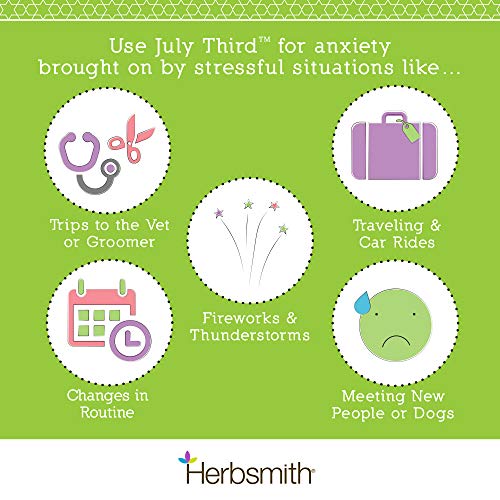Herbsmith July Third  Canine Calming Chews  Calming Herbs for Dogs  Anxiety Supplements for Dogs  30ct Small Chews  Cucciolini Doodles Herbsmith july third  canine calming chews  calming herbs for dogs  anxiety supplements for dogs  30ct small chews   cucciolini doodles