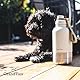 GrandTies Isolierte tragbare Hundewasserflasche mit 2 abnehmbaren Hundenapfspender, auslaufsicherer Reisebehälter für Hundefutter, Hundezubehör für Spaziergänge, Wandern, Camping (950 mL, Pudergrün)