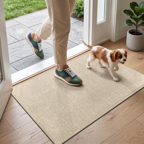LEKEEPGO Tapis Entree Interieur, Paillasson Interieur Entree Antidérapant, Tapis intérieur Entree Absorbant Lavable, Tapis d'Entrée Fin Tapis de Porte pour...