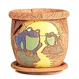 Frogs Ceramic Animal Planter Home Decor Succulent Planter Flower Pots Indoor and Outdoor (6-Inch)