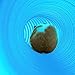 Niteangel Small Pet Fun Tunnel, 39 x 4 inches - Fit Adult Ferrets and Rats (Blue)