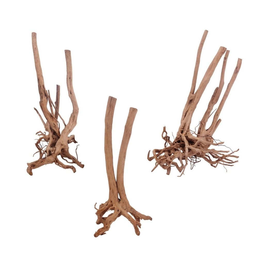 AquaOne Stump Wurzel L 1 Stück Aquarium Wurzel Holz Deko Aquascaping Dekoration Landschaft Mangrove Moorkien Moorwood Moos Natur Echtholz