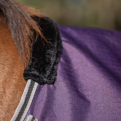 Image of Equinavia Norse Lightweight 100g Fill Horse Rain Blanket | Waterproof Turnout Sheet - Black - 66 in - Grape Purple - 69 in