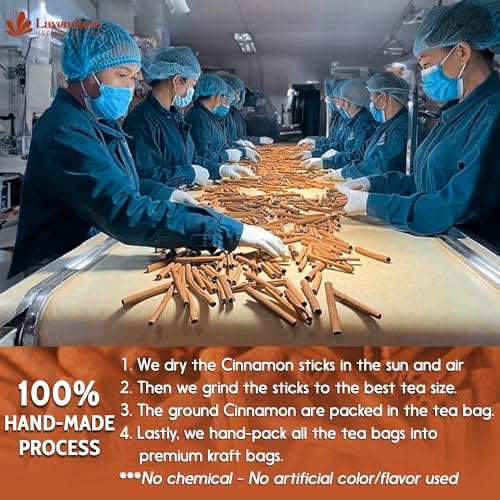 Image of Non-GMO, Vegan, Gluten-Free, No Additives - Rich Color & Flavor (48 Bags, Cinnamon Tea)