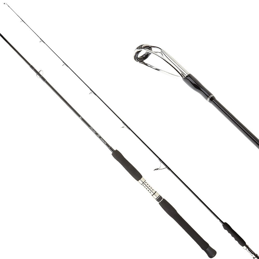 daiwa bg offshore angler gold cup spinning combo Daiwa BG Spinning Combo