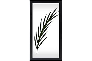 Picture Perfect: 4x8 Frame for Precious Memories