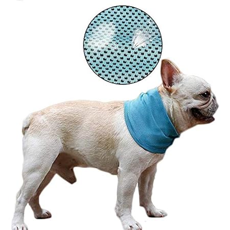 dog cooling scarf