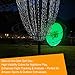 Glow-in-the-Dark, Fluorescent Golf Disc Set, Disc Golf Beginner's Set with Putter, Mid-Range, Distance Driver Discs, Glow-in-the-Dark Charger and Disc Bag for Outdoor Nighttime (Daytime) Disc Players