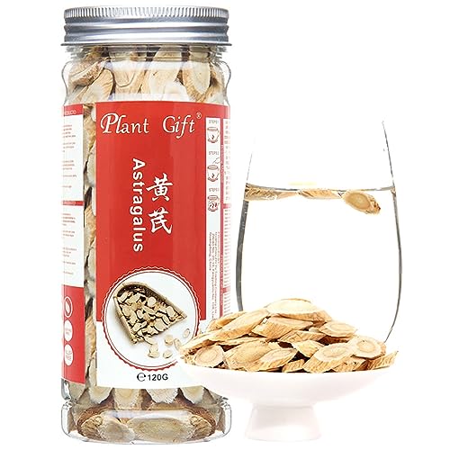 Plant Gift Racine d'Astragale 120G