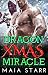 Dragon Xmas Miracle (A Dragon Shifter Christmas Romance)